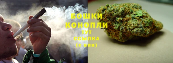 амф Вяземский