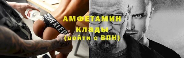амф Вяземский