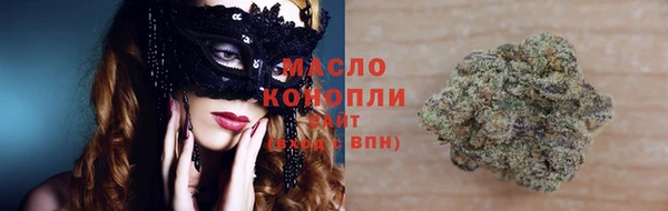 амф Вяземский