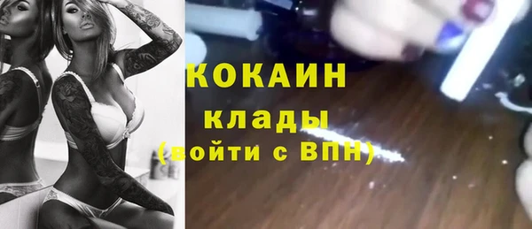 индика Вязники