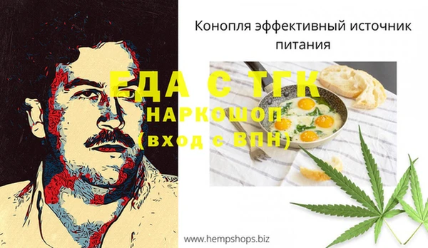 индика Вязники