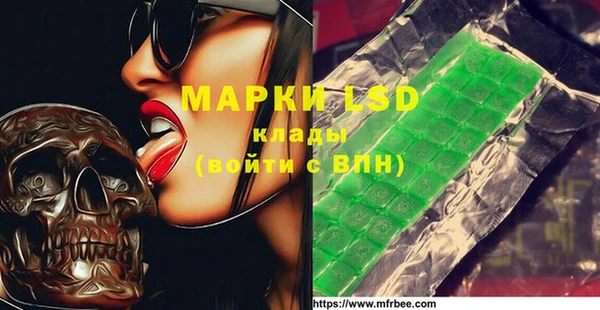 индика Вязники