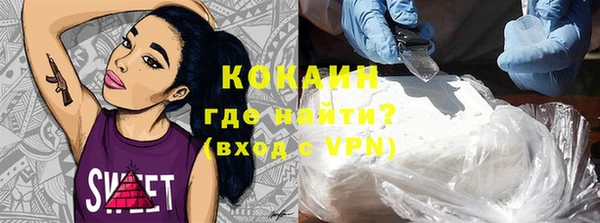 индика Вязники