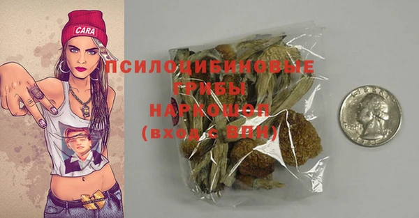 гидропоника Вязьма