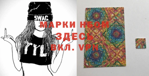 индика Вязники