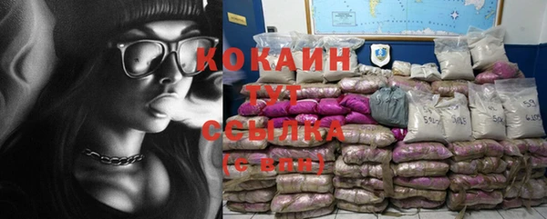 индика Вязники