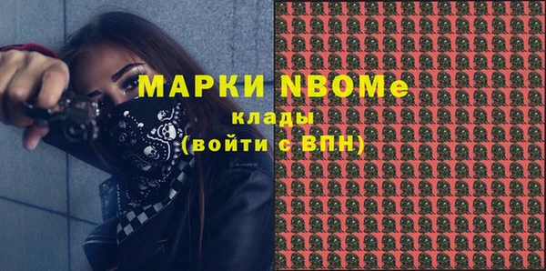 индика Вязники