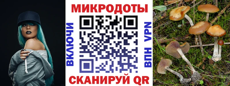 Псилоцибиновые грибы Psilocybine cubensis  mega вход  Пикалёво 
